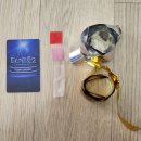 현이네 로또 | 새벽 예매 성공! 미스터트롯2 콘서트 대구 엑스코 후기