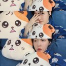별똥이
