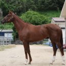 (주)디알엠 이미지