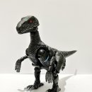 다이노워시 이미지