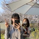 카페 레브 이미지