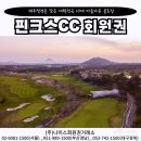 (주)캐슬렉스제주 휴양콘도미니엄 | 제주 핀크스CC 회원권 매매 가격 및 명품 포도호텔 연계 할인 가치 집중 분석