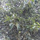 감성민박 이미지