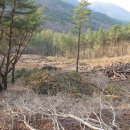 그린농장2 이미지