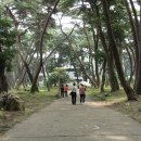 거북농장 이미지