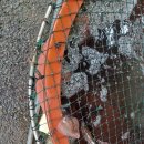 진보농장 이미지