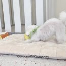 마릴린펫 이미지