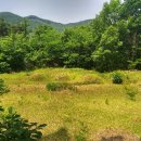 원평보건진료소 이미지