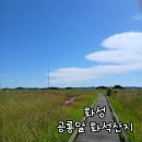 화석 | (화성) 공룡알 화석산지 후기
