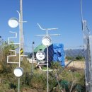 윤영숙농장 이미지