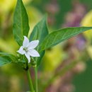 칠전팔기 이미지