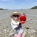 태안 오투오션 펜션 바다 앞에서 낚시, 바지락체험, 바베큐, 해루질까지 즐긴 1박 2일 우정여행 기록