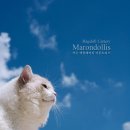 마론도리스(Marondollis) 네이버블로그