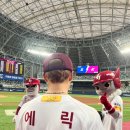 참 잘했어요 도장 콱 ⚾️ 이미지