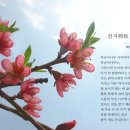 배한봉 시인의 전지(剪枝:가지를 자르다.) 이미지