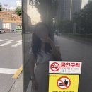 0708-0716 Daily | 블랙위도우로 시작해서 엔드게임까지 가버린 일상
