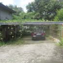 판문동-2 이미지