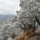 백운산 캠핑장 이미지