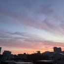 알지 식자재마트 이미지