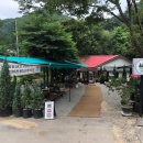 그린벨리바베큐 이미지