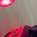 급 거제행