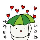 이뿌니 이미지