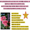 송산대박공인중개사사무소 이미지