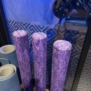 바디채널 산본점 이미지