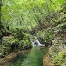 양산 千聖山 절골 탐구 산행 이미지