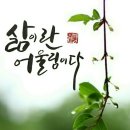 (주)행복한아침