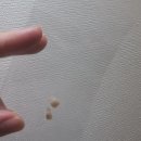 토토소아치과치과의원 이미지