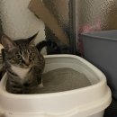 (주)크린화이트 이미지