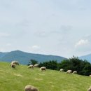 지동목장 이미지