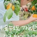 영춘농장 이미지