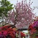 (주)바람난강진 | [강진] 4/21 강진 남미륵사 실시간! 비오는 남미륵사 다녀온 상세후기