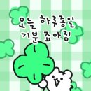 해피애니멀 이미지