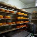 충남대학교농업생명과학대학 동물자원연구센터 이미지