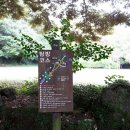 비자림가든 이미지