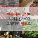 경북 청도 가볼만한 곳, 청도 소싸움, 청도 와인터널! 이미지