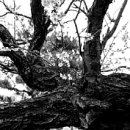 (주)오월의아침 이미지