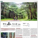 비슬산둘레길 4구간 이미지