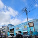 킹스마트 | 태안횟집 해장하기 좋은 돈키호테 게국지