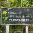 시크릿가든카페