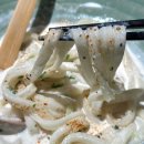 최초건설(주) | 수원 타임빌라스 맛집 멘야토요켄 아기랑 추천 • 일식 우동 돈까스 포장 가능