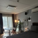 위플스테이 | 제주 공항 근처 가성비 애견 동반 숙소 위플스테이 에어비앤비 두나하우스 후기