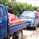 대정농업협동조합 농산물산지유통센터 이미지