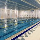 88체육관(올림픽기념국민생활관) | 대구 올림픽기념국민생활관 수영장 25m 7레인