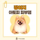 횡성동물병원 이미지