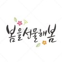 후니살롱 Daum카페