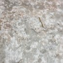 조례신대길 이미지